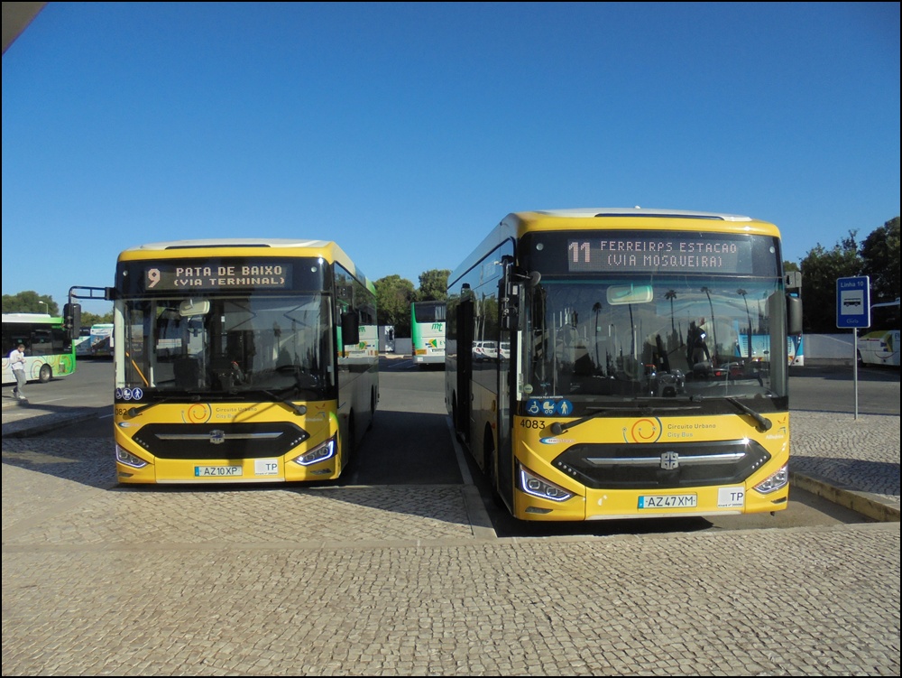 buses
                Albufeira 190726